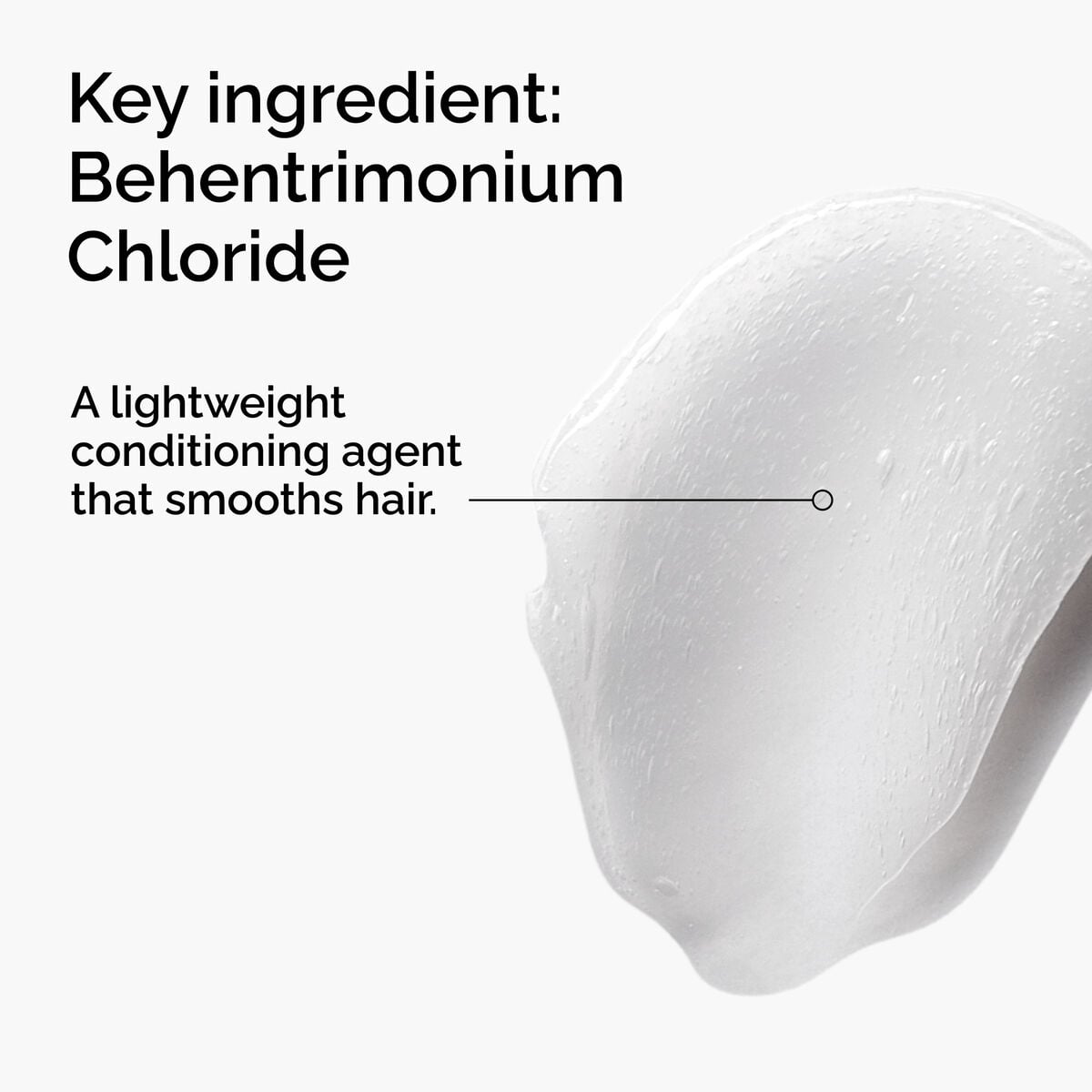behentrimonium-chloride-2-conditioner-m8 FY25-D41247-ORD-Web-PDP-BTC-1x1-EN-2a.jpg