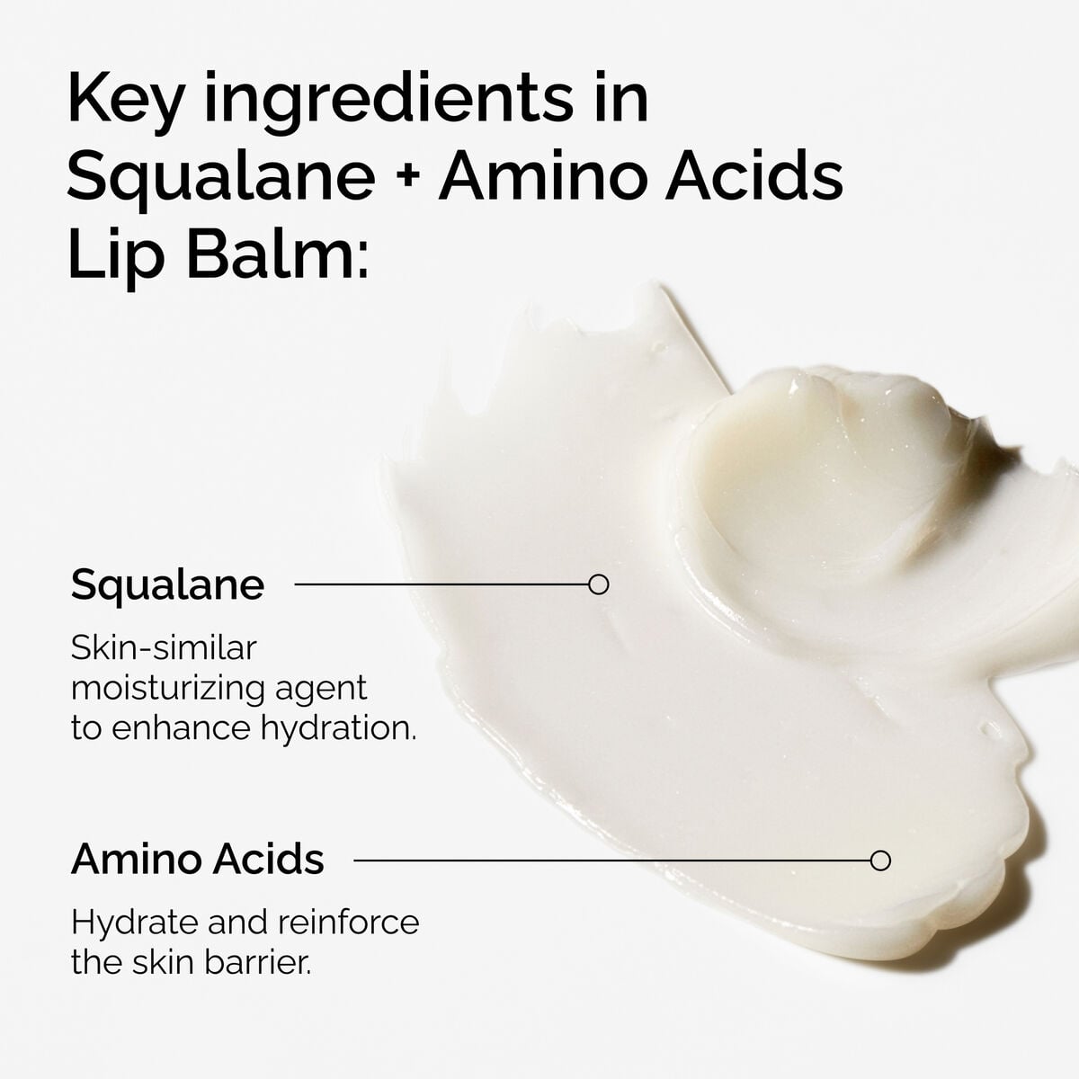 squalane-amino-acids-lip-balm-e8 FY25-D41247-ORD-Web-PDP-Sql-Amino-Lip-1x1-EN-2a.jpg