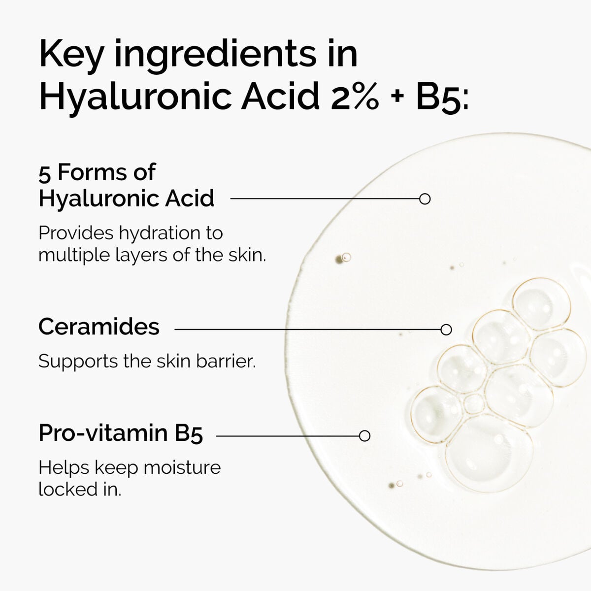 hyaluronic-acid-2-b5-with-ceramides-b1 ord-hyaluronic-acid-2pct-b5-hydrating-serum-ingredients-graphic.jpg