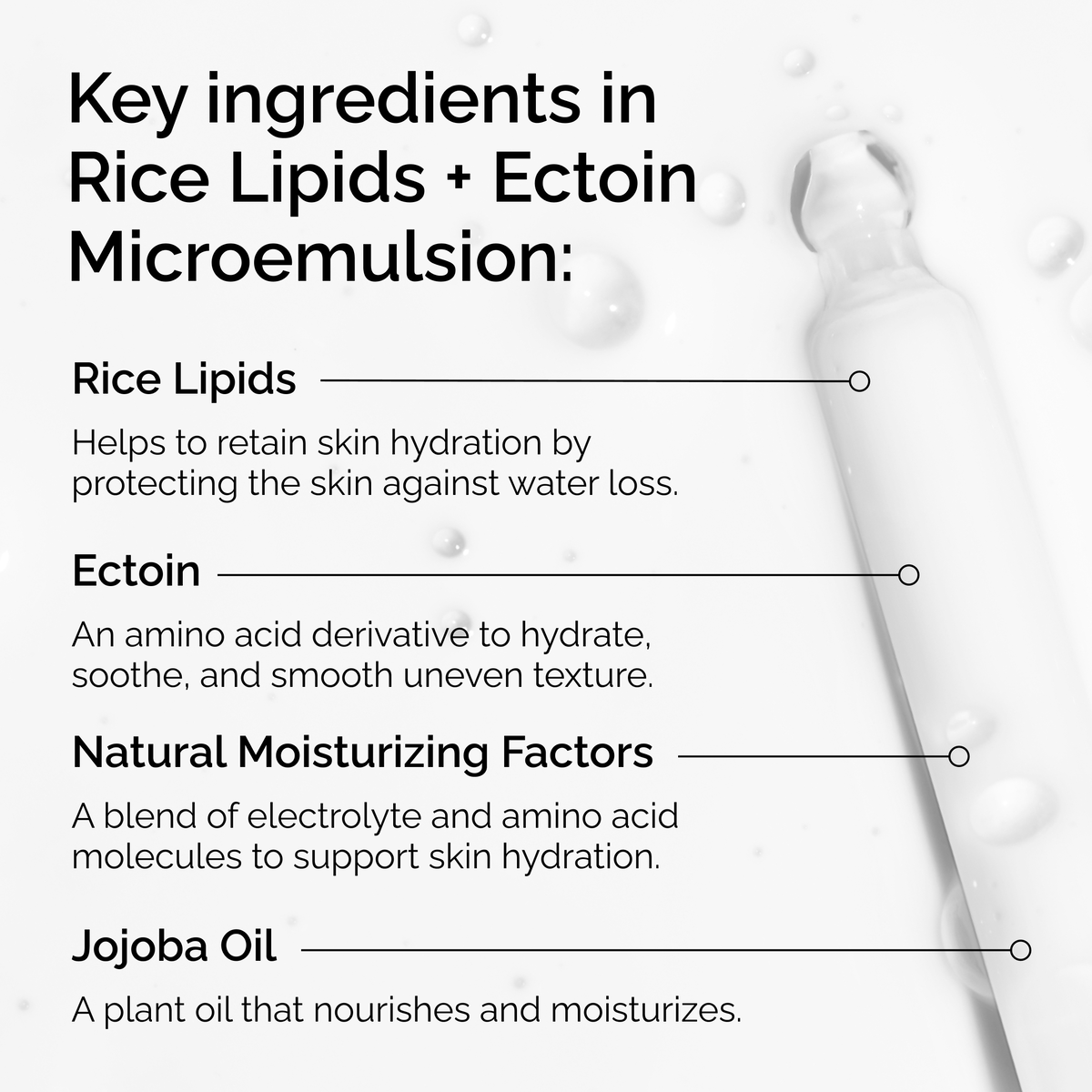 rice-lipids-ectoin-microemulsion-c0 ord-rice-lipids-ectoin-microemulsion-key-ingredients.png