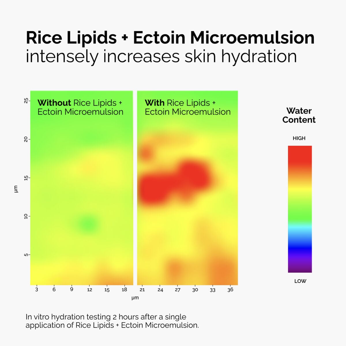 rice-lipids-ectoin-microemulsion-c0 ord-rice-lipids-ectoin-microemulsion-thermal-before-after.jpg